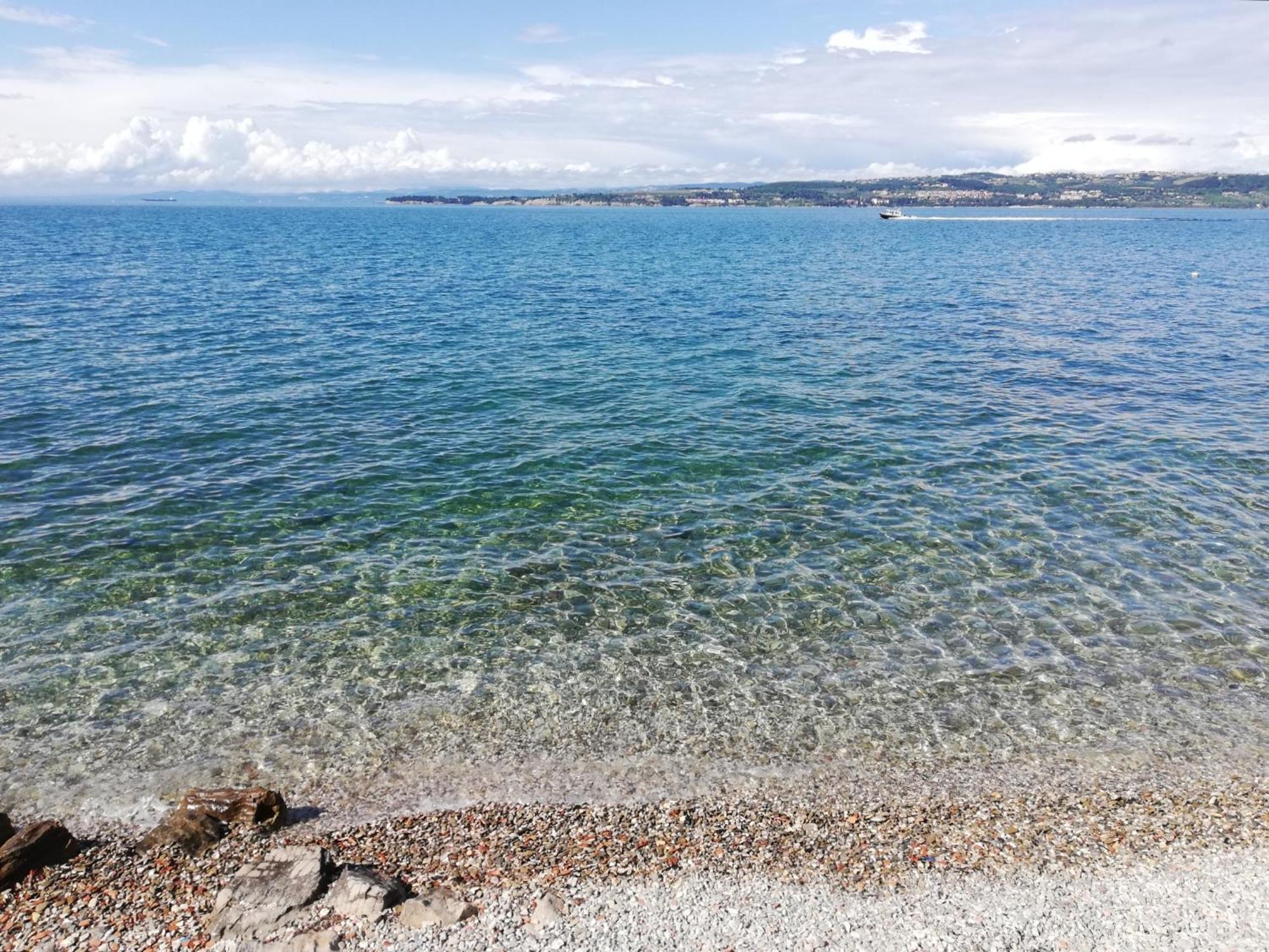 Vila Flori Koper Exteriör bild